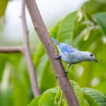 AV网站免费线看精品 gfhop6th3l