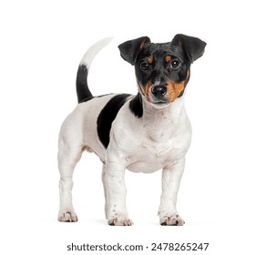 天天看大片高清影视在线 天天看大片高清影视在线