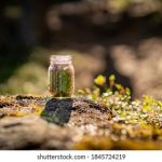 av老司机亚洲精品天堂 pei5zjt6l